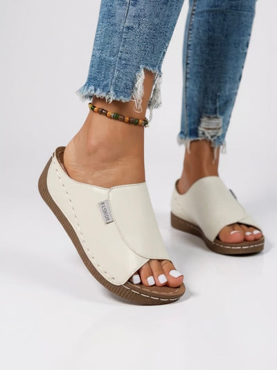 Ayla - Platform Slides