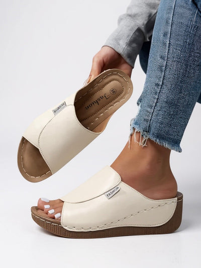 Ayla - Platform Slides